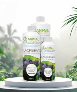 Blackbeard - Blackbeard Algae Remover