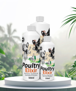 Poultry Elixir
