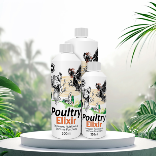 Poultry Elixir