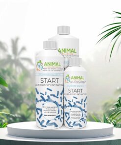 Start - Cycling Bacteria