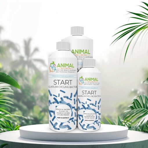 Start - Cycling Bacteria