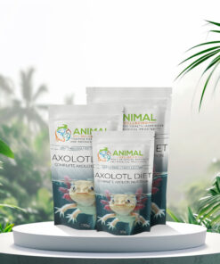 Axolotl diet - Complete Axolotl Nutrition