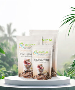 Omnivore - Reptile Omnivore Diet