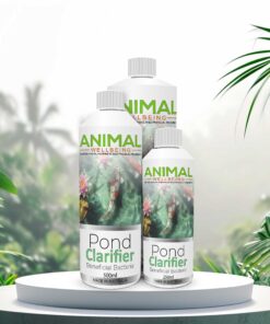 Pond Clarifier - beneficial Bacteial group