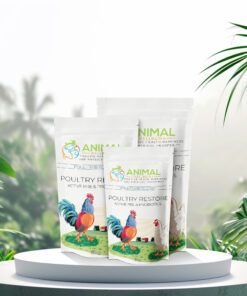 Poultry Restore - Active Pre & Probiotics